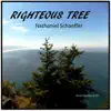 Nathaniel Schaeffer - Righteous Tree - Single